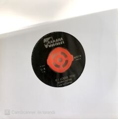 Bobby Setier / He'll Have To Go 45'lik