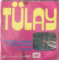 Tülay Geceler 45lik