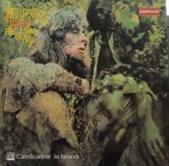 John Mayall & Bluesbreakers Blues From Laurel Canyon & Barewires Double LP