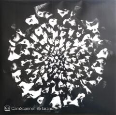 The Beatles - Revolver Sessions - LP