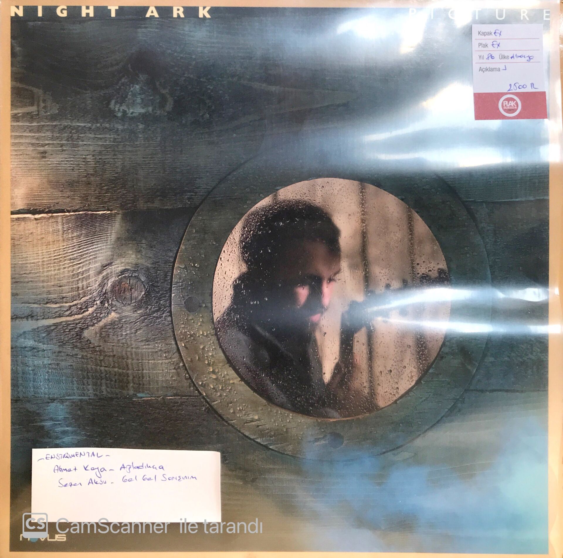 Night Ark - Picture LP