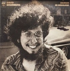 David Bromberg Demon In Disguise LP