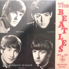 The Beatles / She Loves You 45'lik