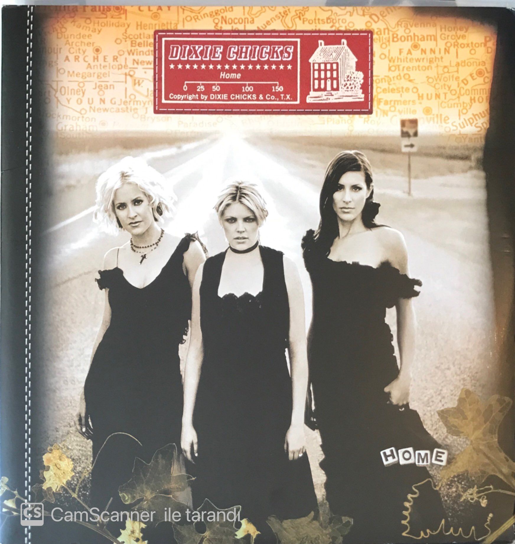 Dixie Chicks Home Double LP