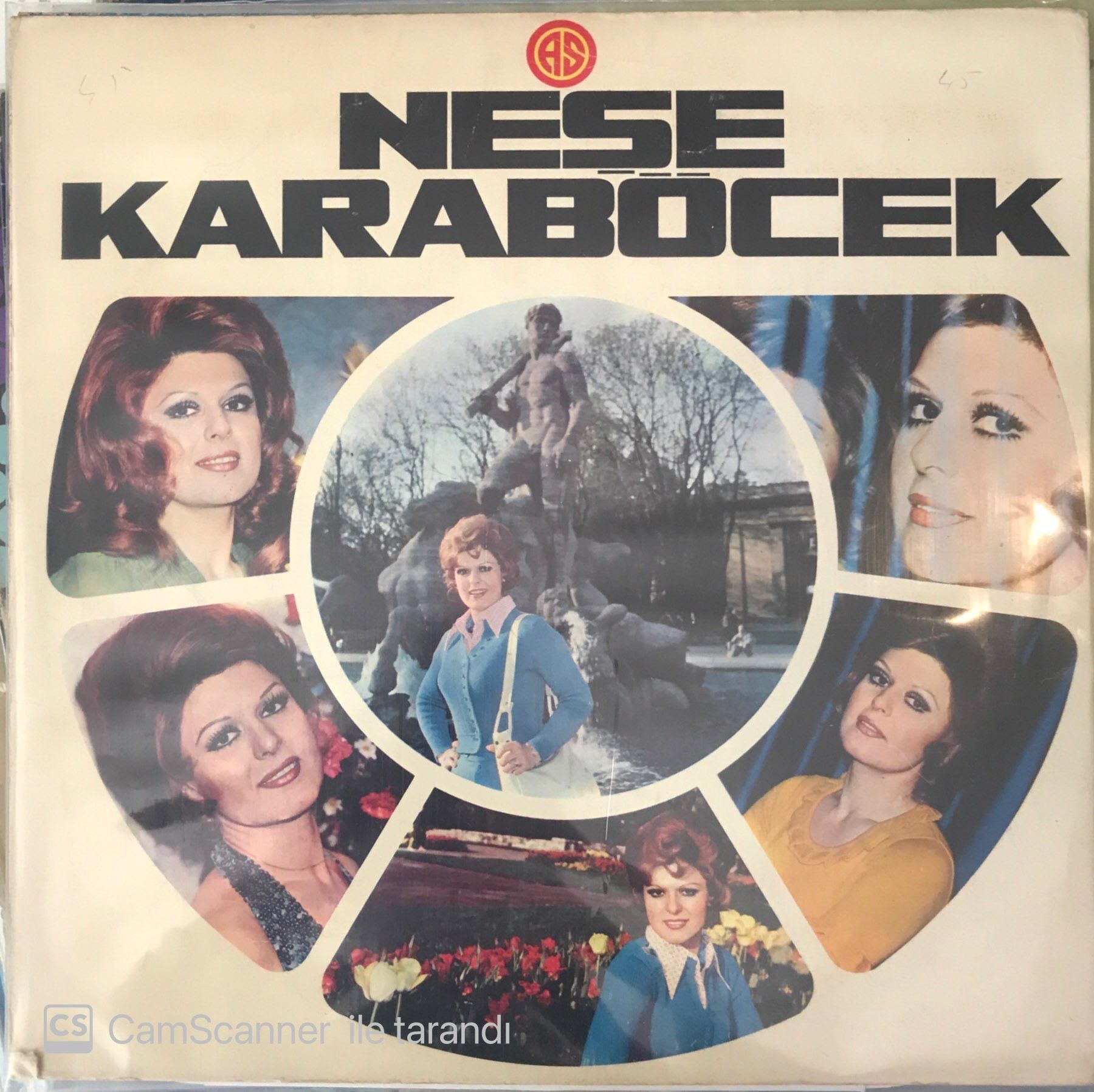 Neşe Karaböcek Kulakların Çınlasın LP