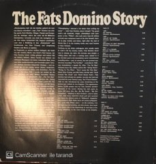 The Fats Domino Story Double LP