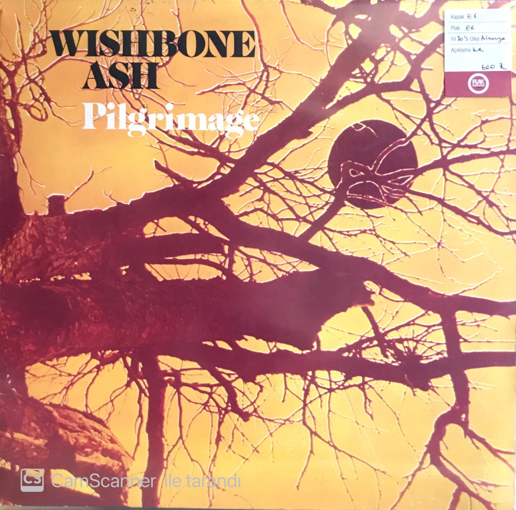 Wishbone Ash / Pilgrimage LP