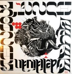 Grup Ses Delidivan Ethnique Punch LP