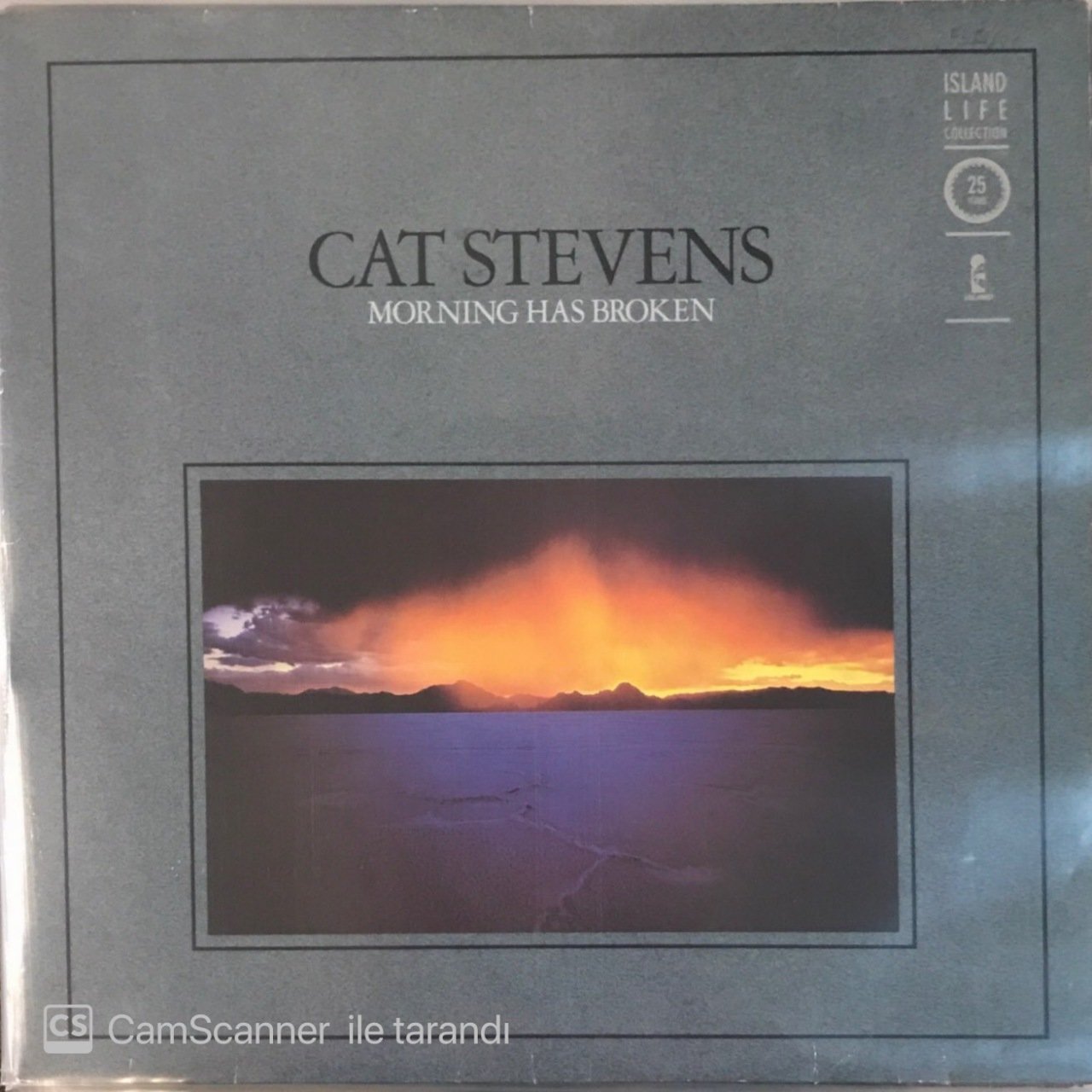 Cat Stevens Morning Has Broken LP