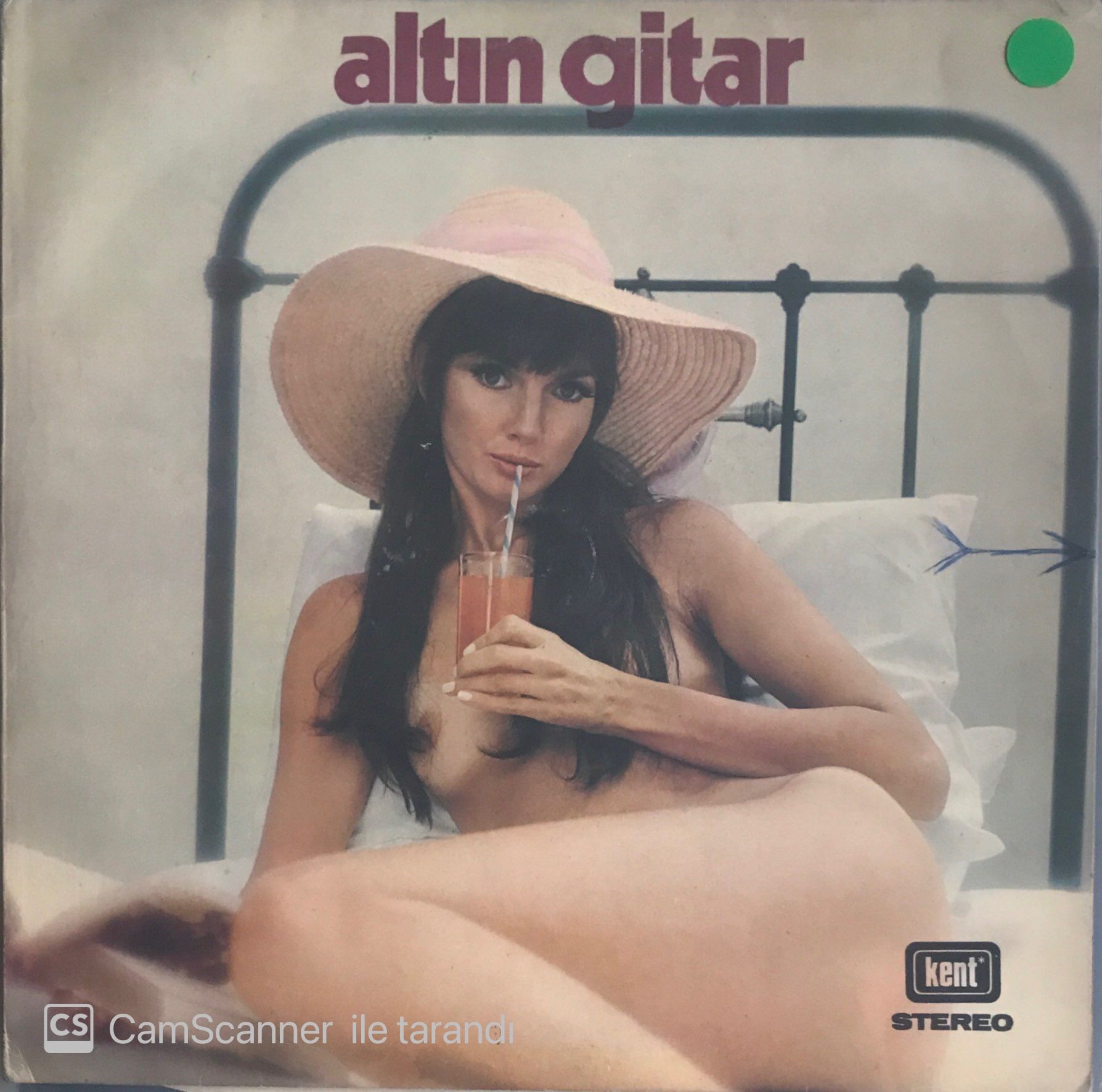 Altın Gitar / Metin Alkanlı Ve Orkestrası LP