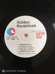 Gülden Karaböcek - Müzik ve Ben - LP