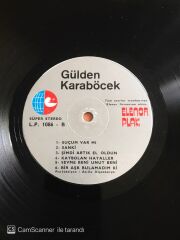Gülden Karaböcek - Müzik ve Ben - LP