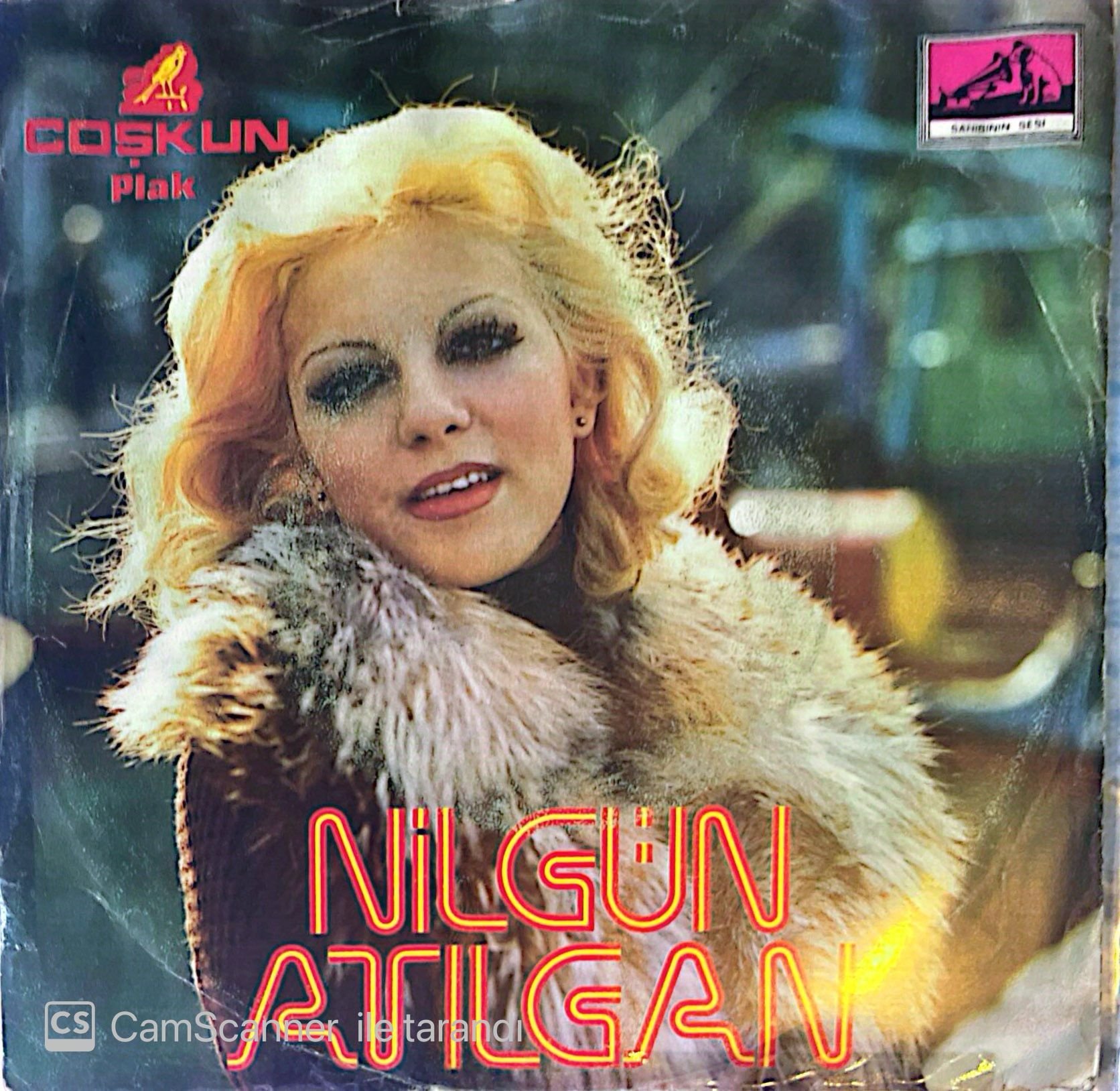 Nilgün Atılgan Sor Ne O 45lik
