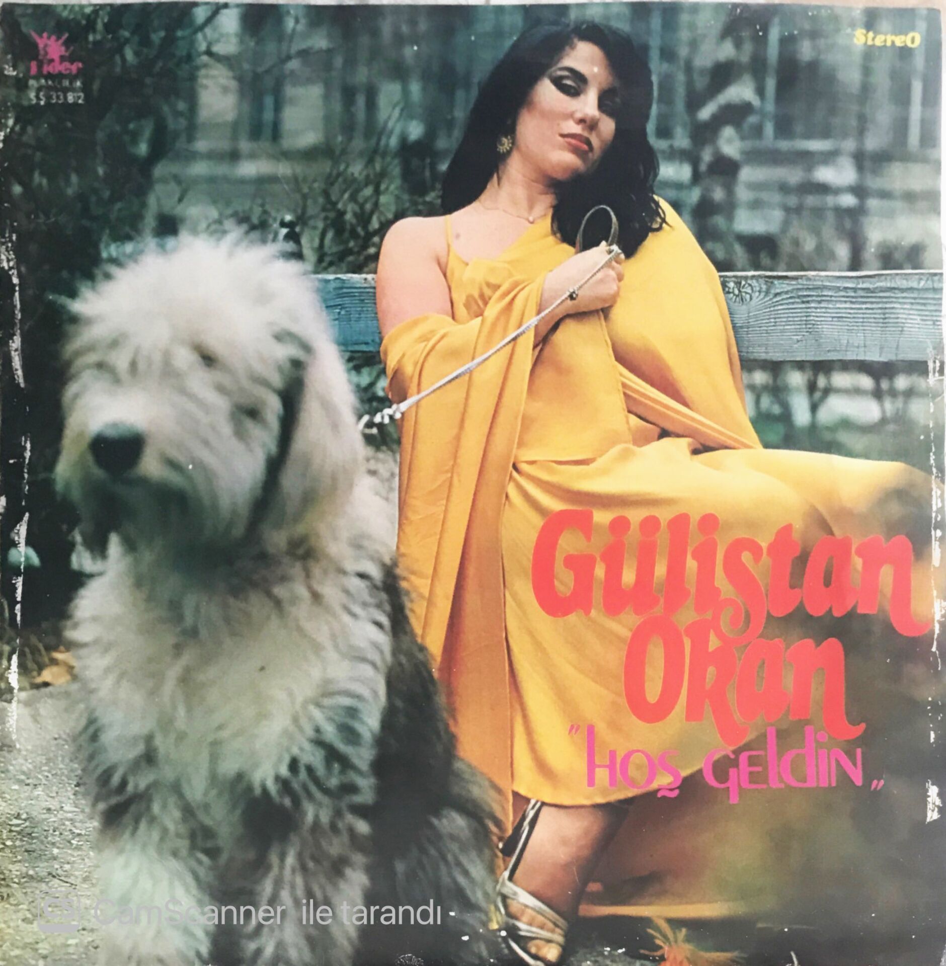 Gülistan Okan - Hoş Geldin - LP