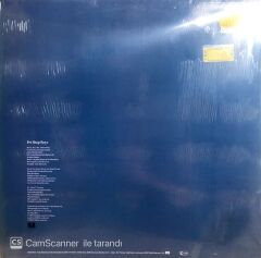 Pet Shop Boys / It's A Sİn LP Maxi Single
