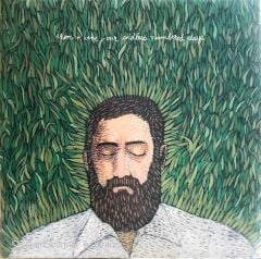 Iron and Wine - Our Endless Numbered Days LP