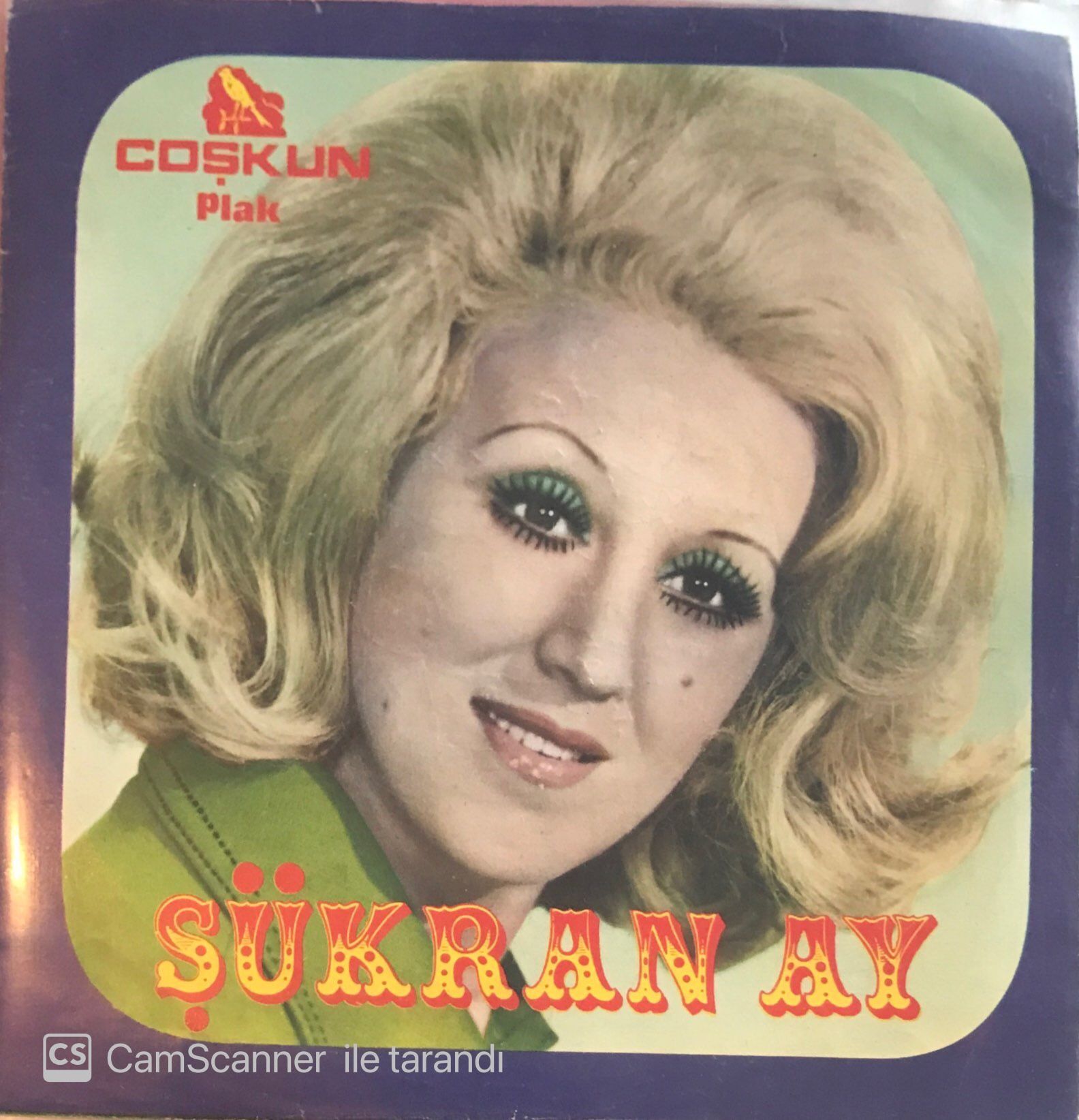 Şükran Ay - İçip İçip Ağlarım 45lik