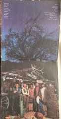 Dillards Roots And Branches LP