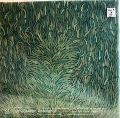 Iron and Wine - Our Endless Numbered Days LP