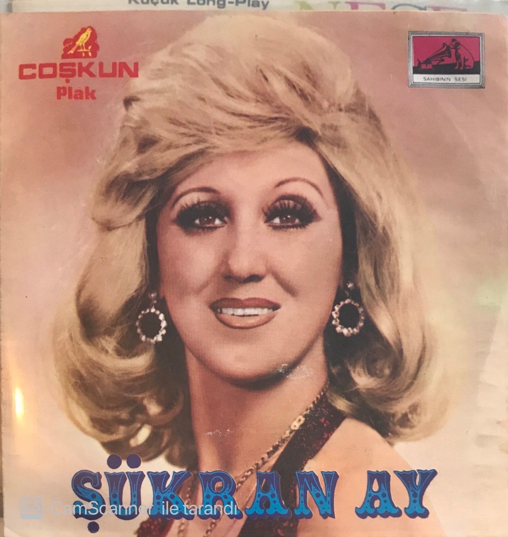 Şükran Ay - Benmiyim Ağlayan Benmiyim Gülen 45lik