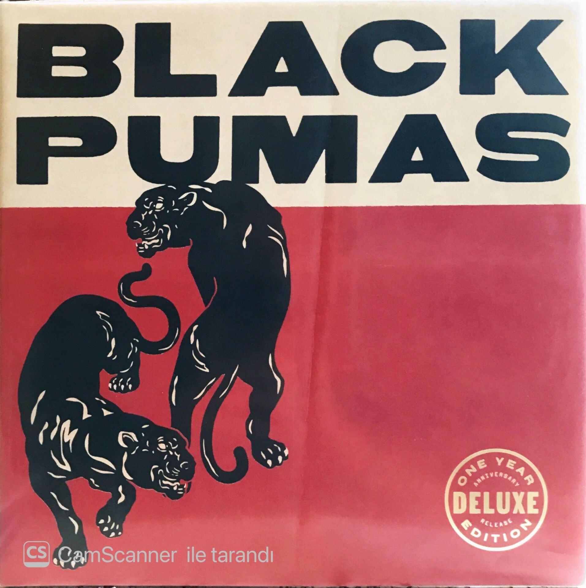 Black Pumas - One Year Deluxe Edition LP