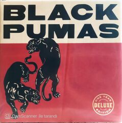 Black Pumas - One Year Deluxe Edition LP