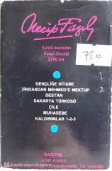 Necip Fazıl Kaset
