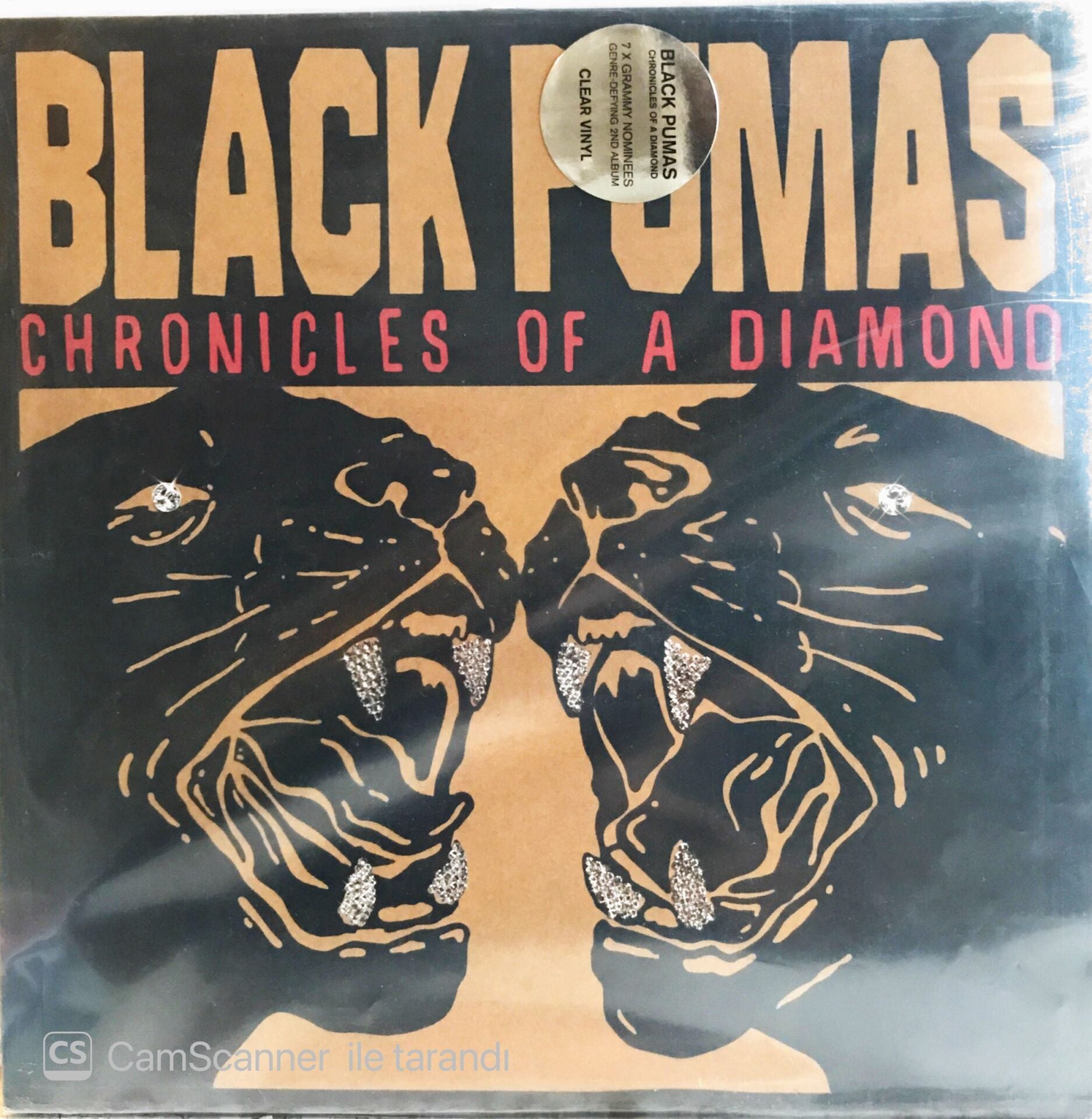 Black Pumas - Chronicles of a Diamond LP