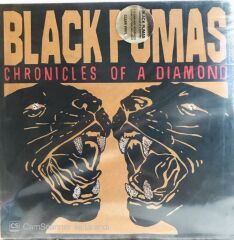Black Pumas - Chronicles of a Diamond LP