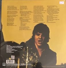 Steve Miller Band Your Saving Grace LP