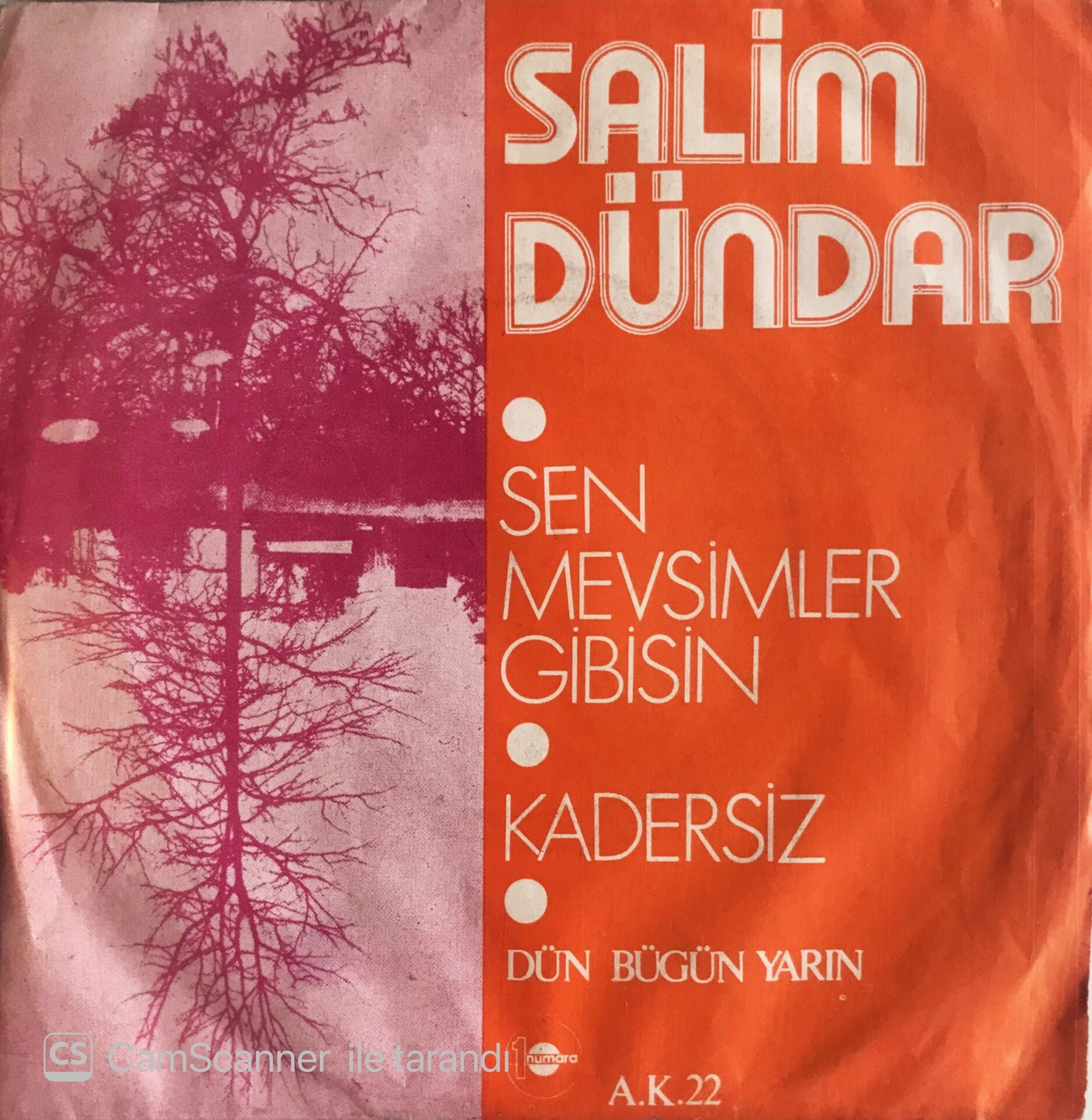 Salim Dündar - Sen Mevsimler Gibisin 45lik