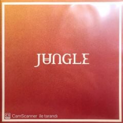 Jungle / Volcano LP