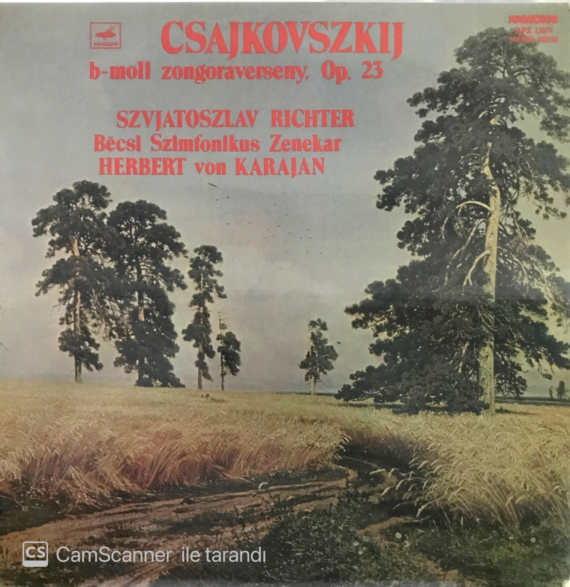 Csajkovszkij Herber von Karajan LP