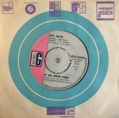 Sol Raye If We Were Free ( Kimler Geldi Kimler Geçti ) 45lik