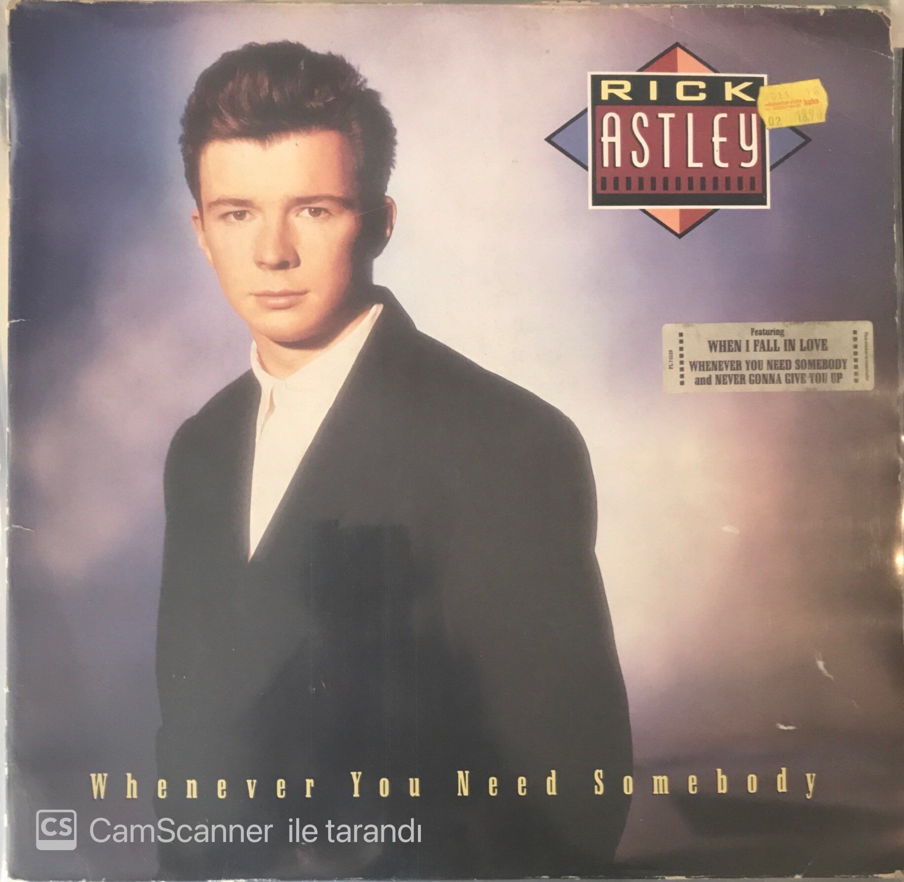 Rıck Astley Whenever You Need Somebody LP