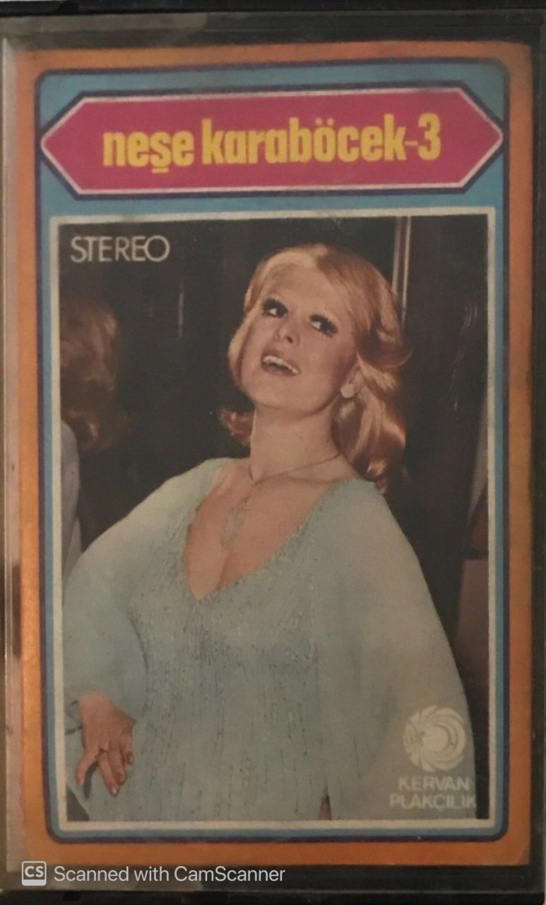 Neşe Karaböcek 3 KASET
