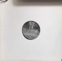 Migrating Bird: The Songs Of Lal Waterson MAXİ