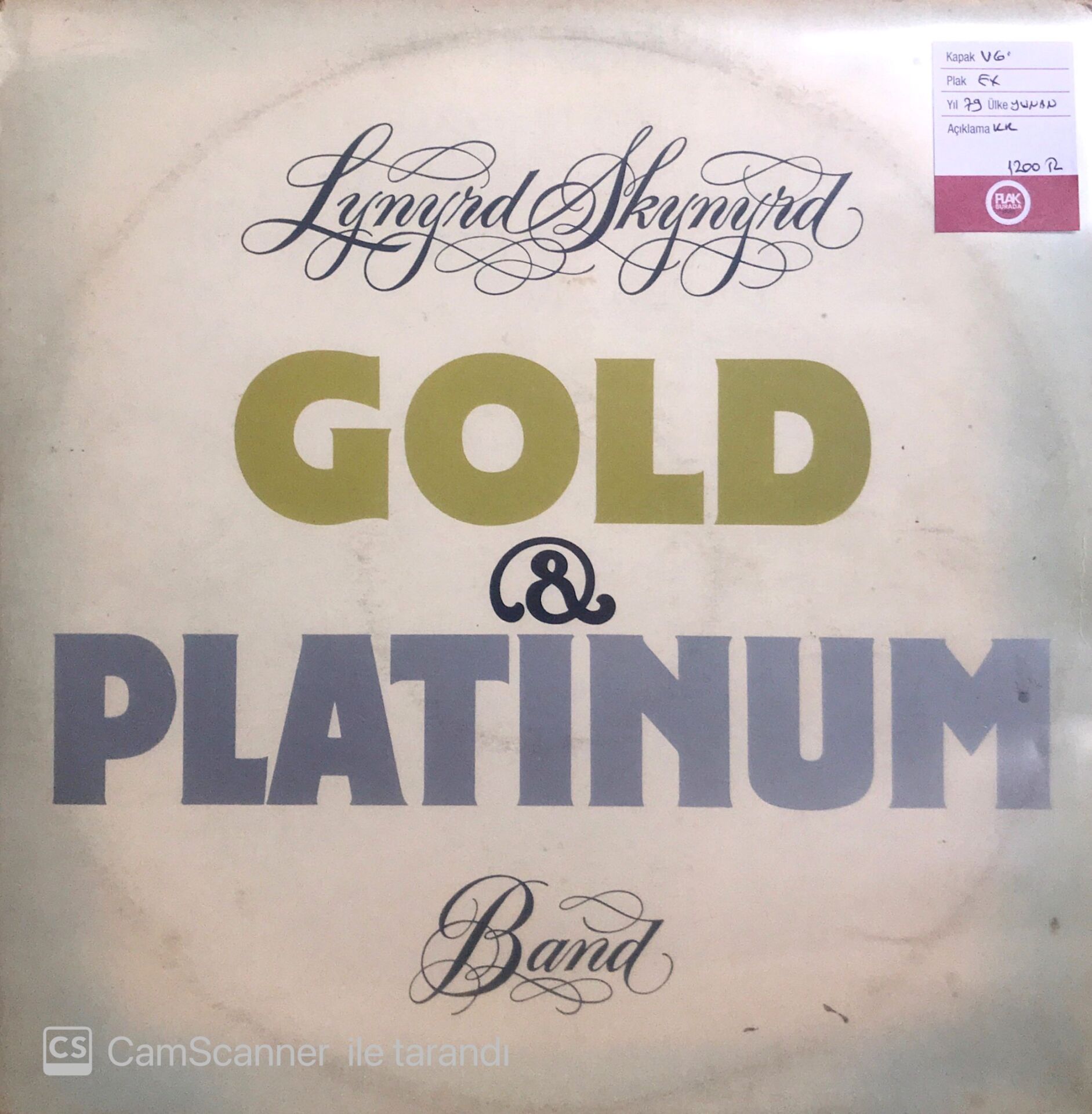Lynyrd Skynyrd  Band Double LP