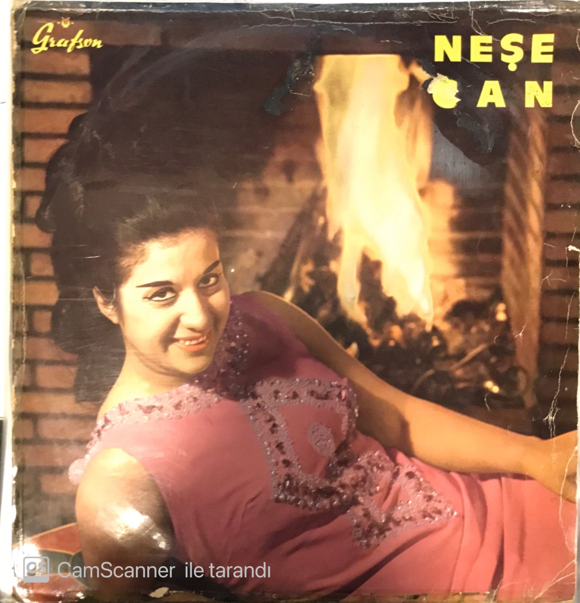 Neşe Can - Sen Aşk Nedir Bilmezsin LP