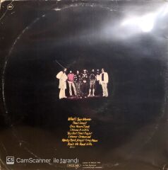 Lynyrd Skynyrd / Street Survivors LP