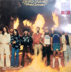 Lynyrd Skynyrd / Street Survivors LP