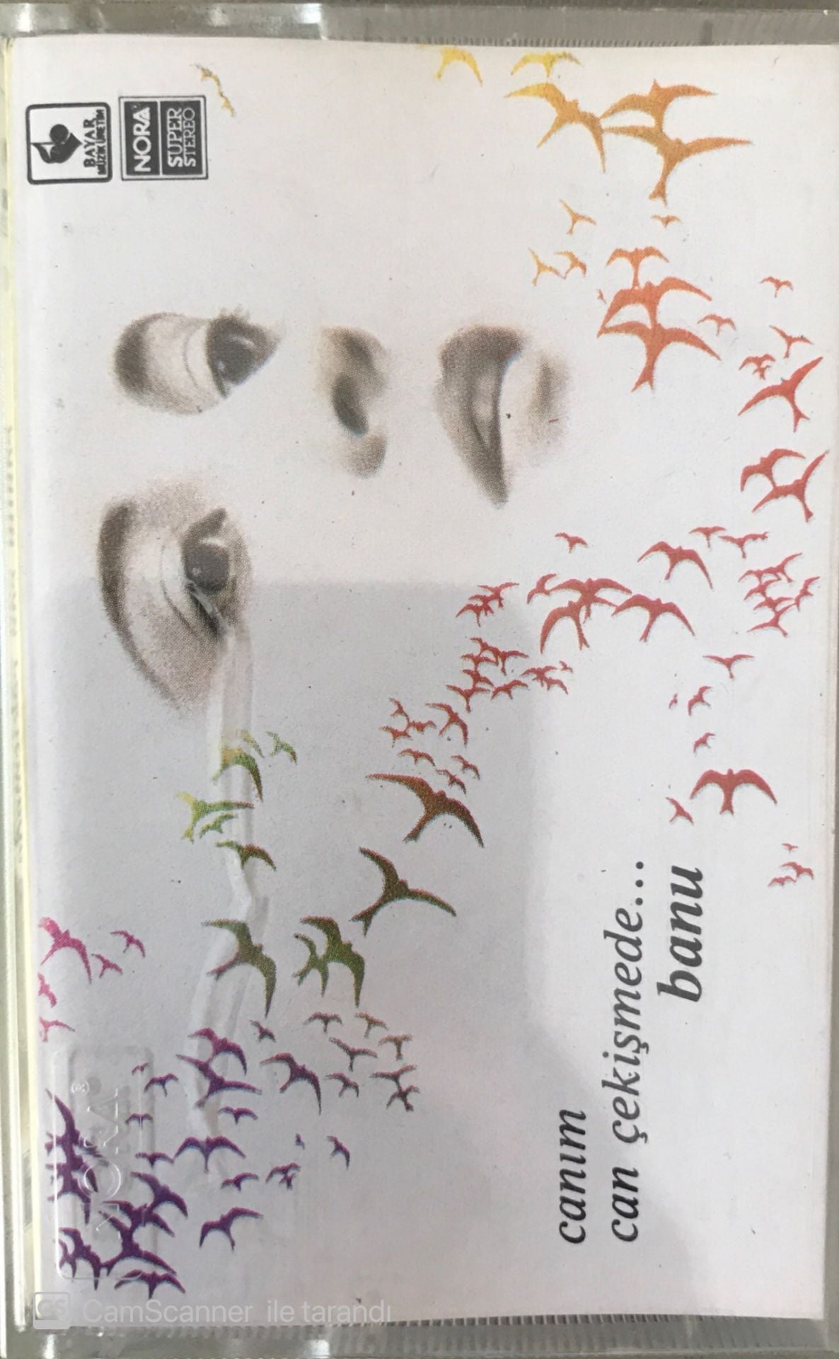 Banu Canım Can Çekişmede.. KASET