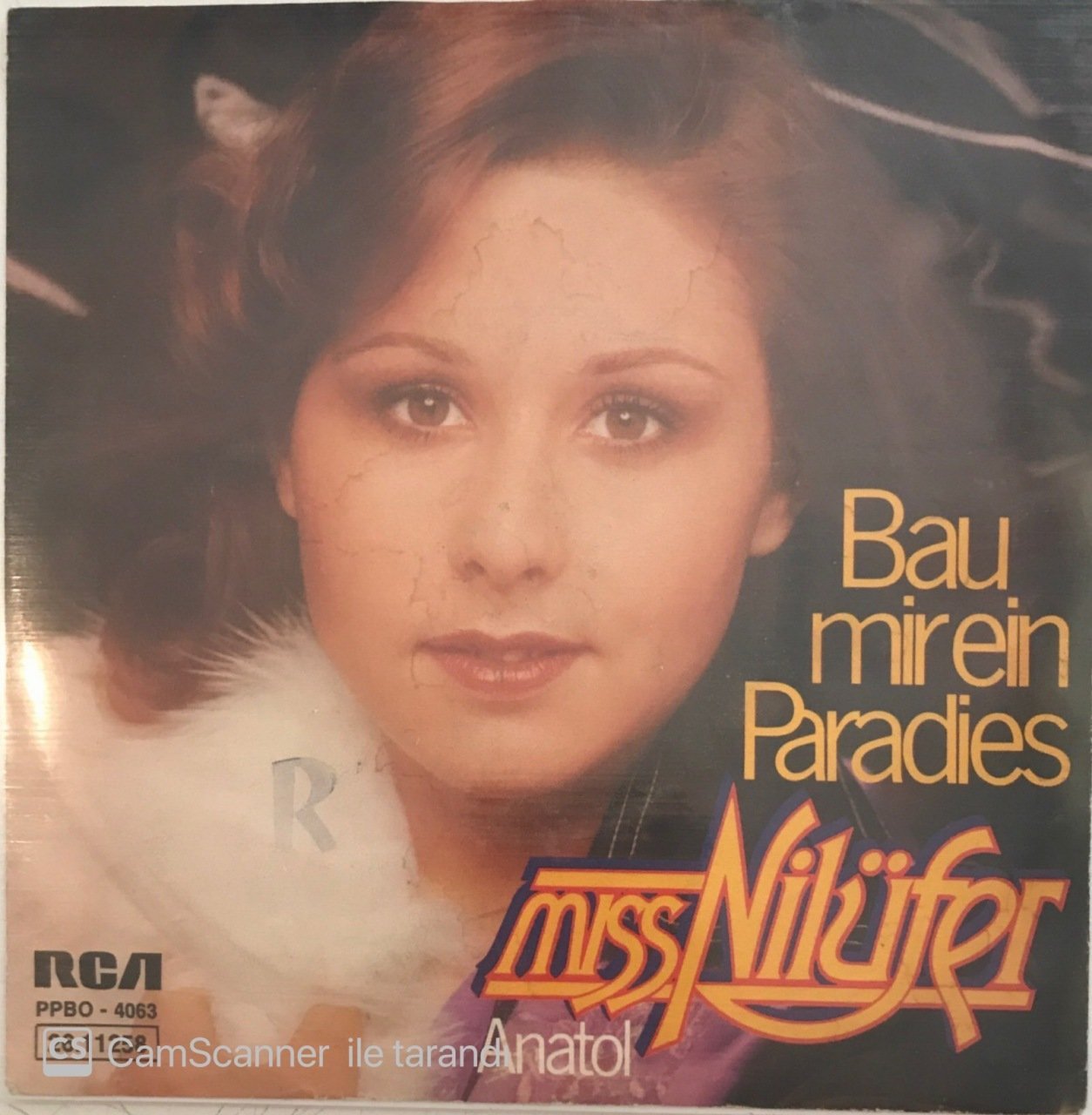 Nilüfer Bau Mir Ein Paradies 45lik