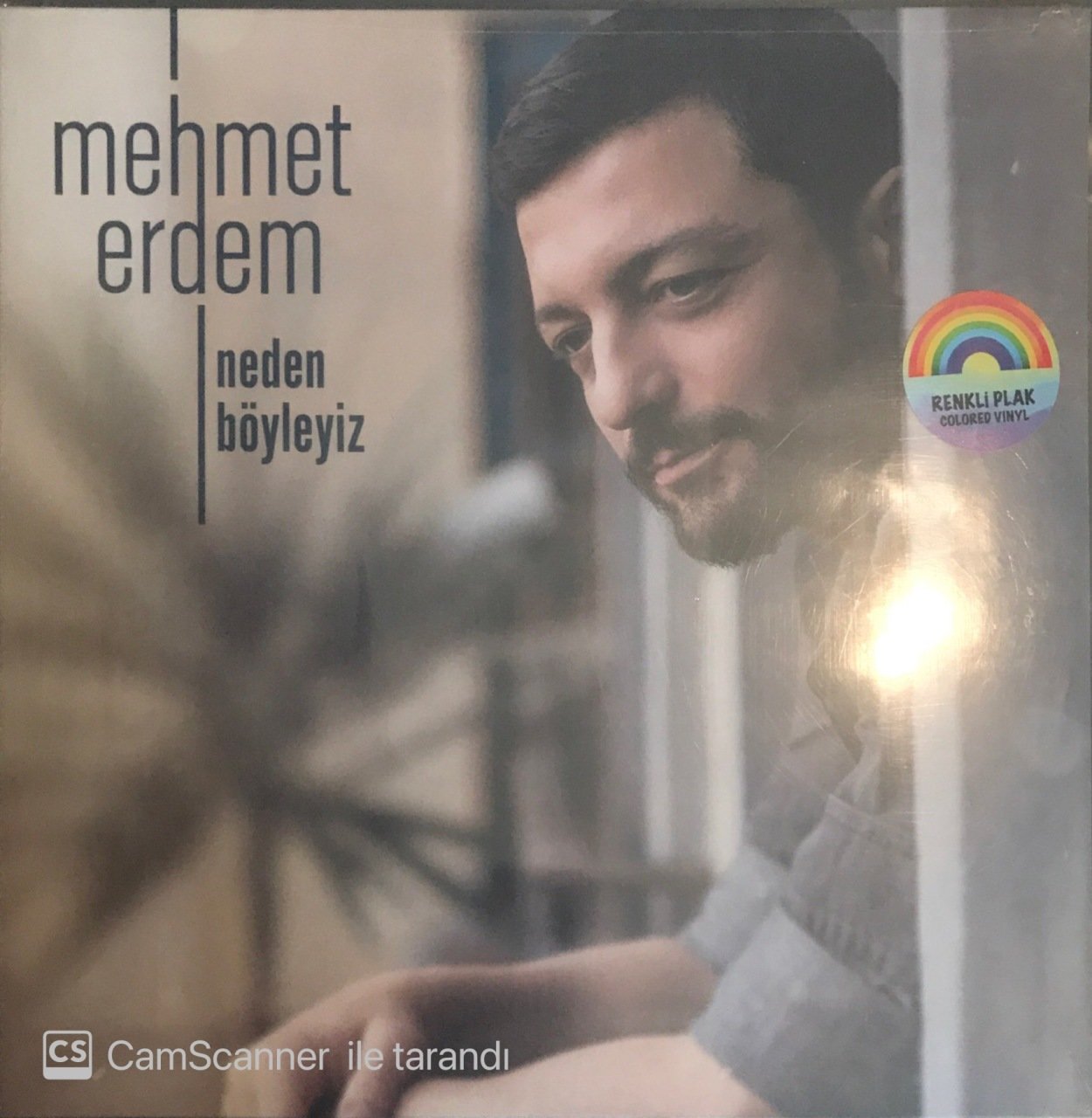 Mehmet Erdem Neden Böyleyiz LP