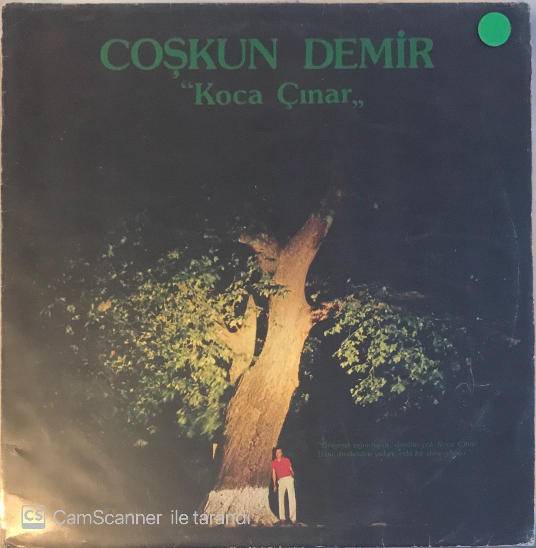 Coşkun Demir / Koca Çınar LP