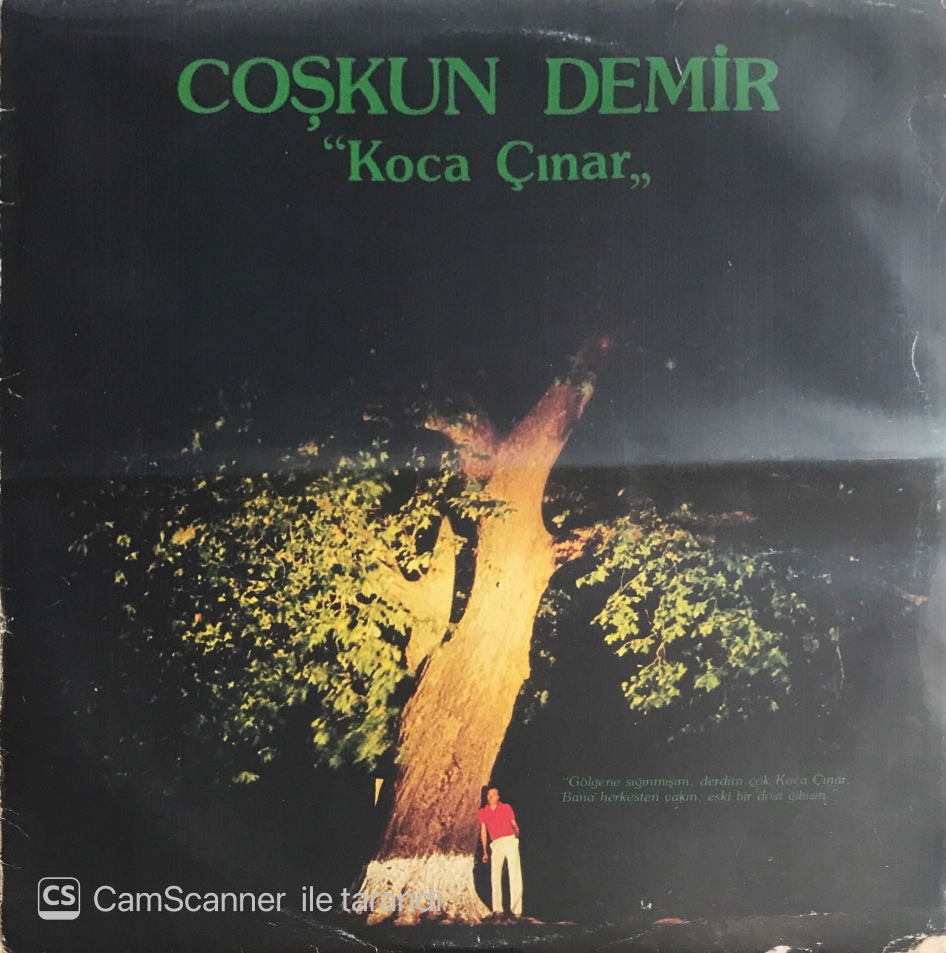Coşkun Demir - Koca Çınar - LP
