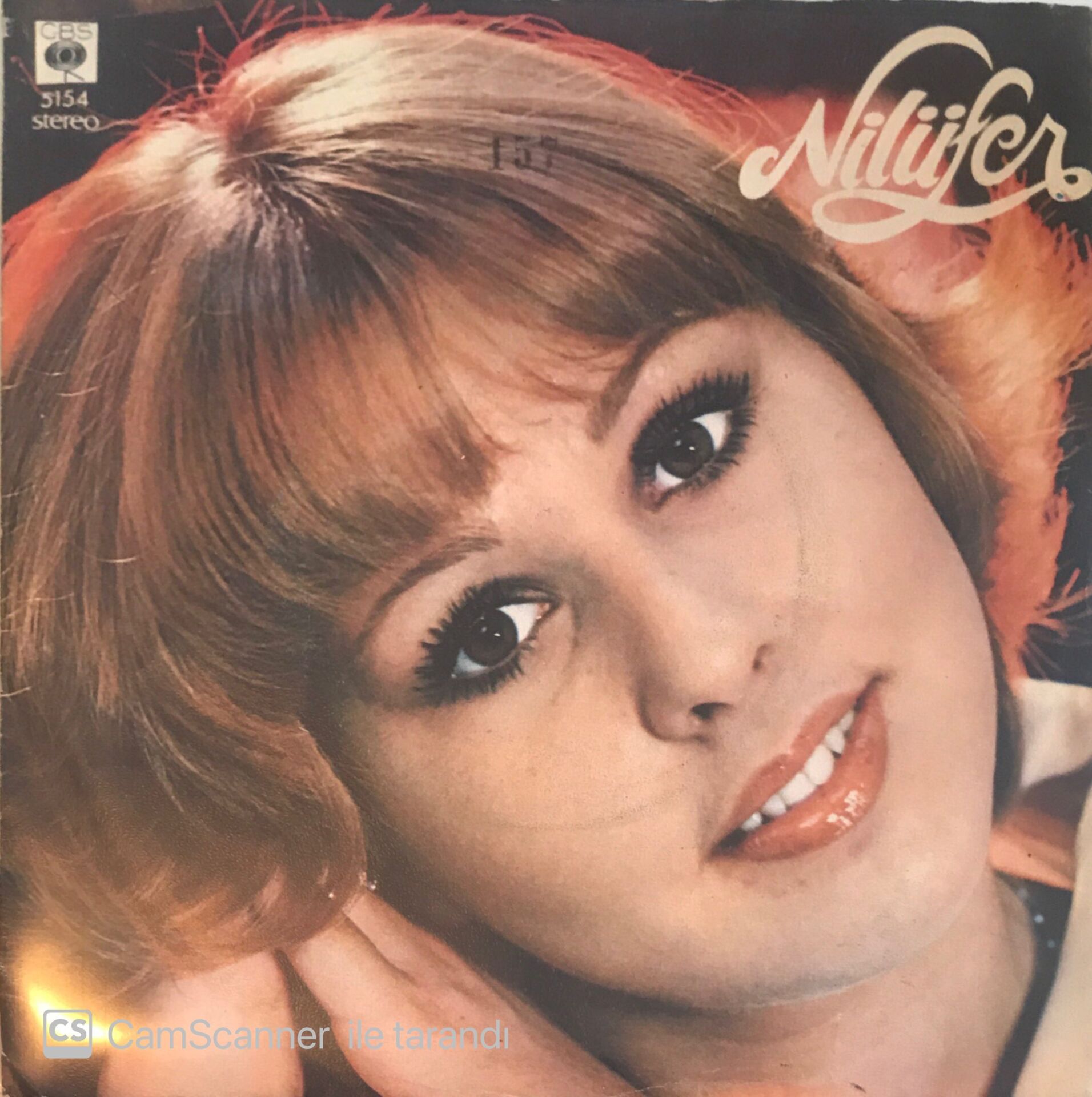 Nilüfer - Kim Arar Seni 45lik