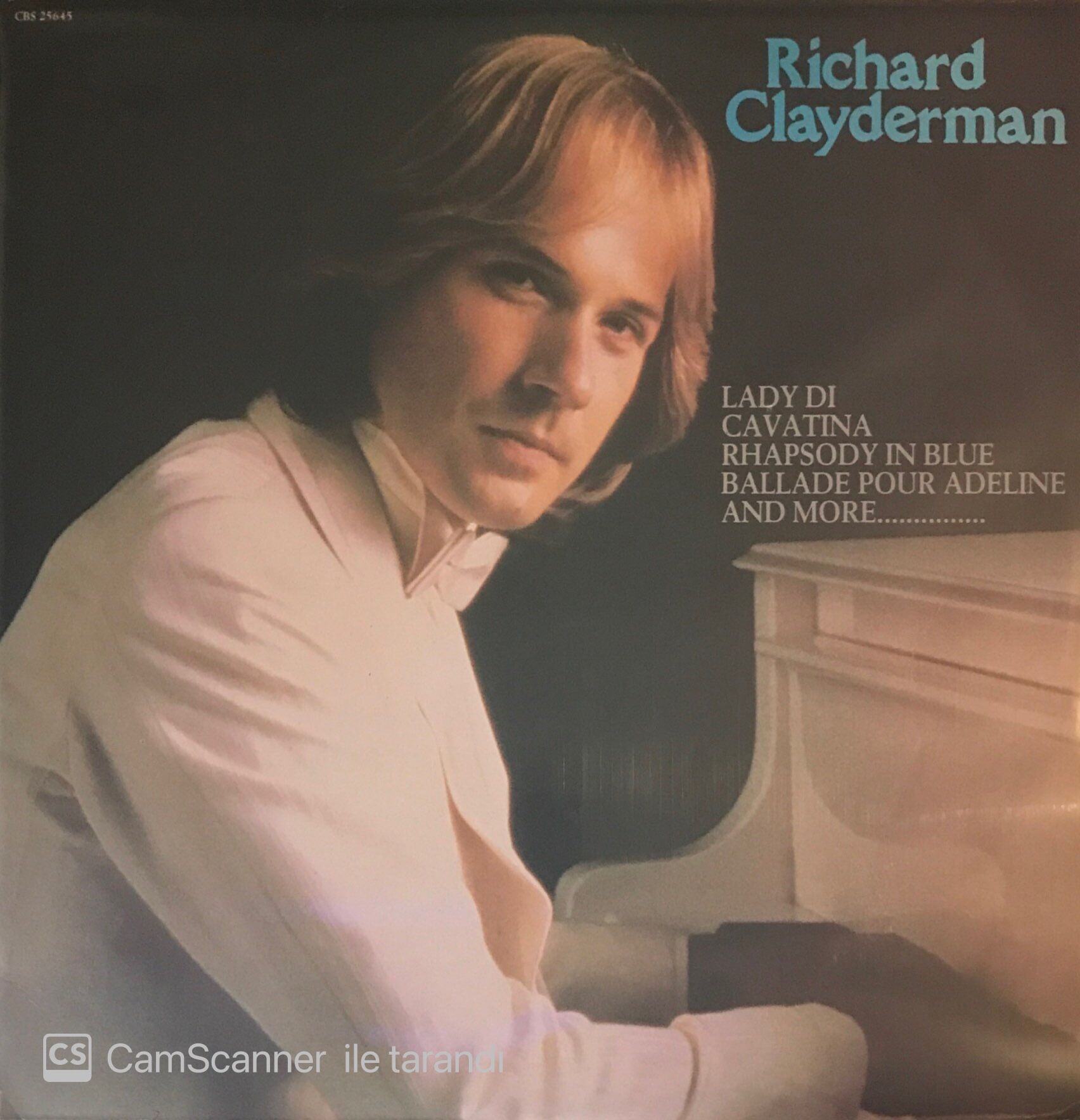 Rıchard Clayderman Lady Dı LP