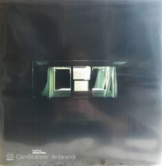 Flofilz Speakthru LP