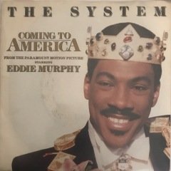 The System Coming To America 45lik